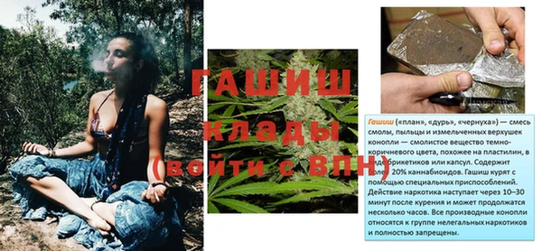 тгк Инта