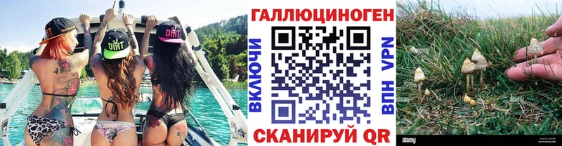 Галлюциногенные грибы прущие грибы  Купить закладки  Княгинино 