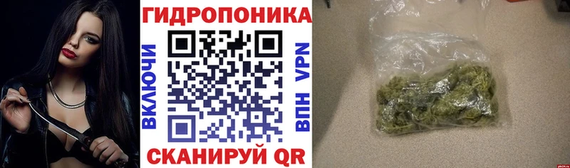 Каннабис марихуана  Купить закладки  Княгинино 